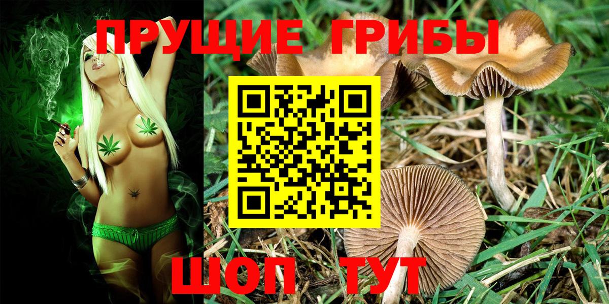 Галлюциногенные грибы Cubensis  Вход с VPN  Бирск 